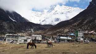 Népal : séisme sur l'Everest